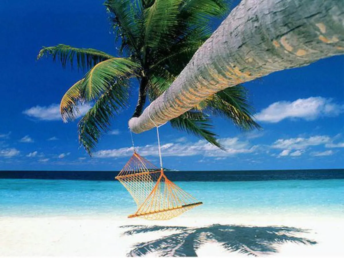 ****  Majesty Palm Hotel Saint-Francois  Guadeloupe